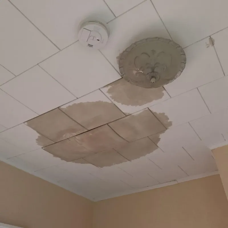 Ceiling Water Damage Repair in East Renton Highlands, WA